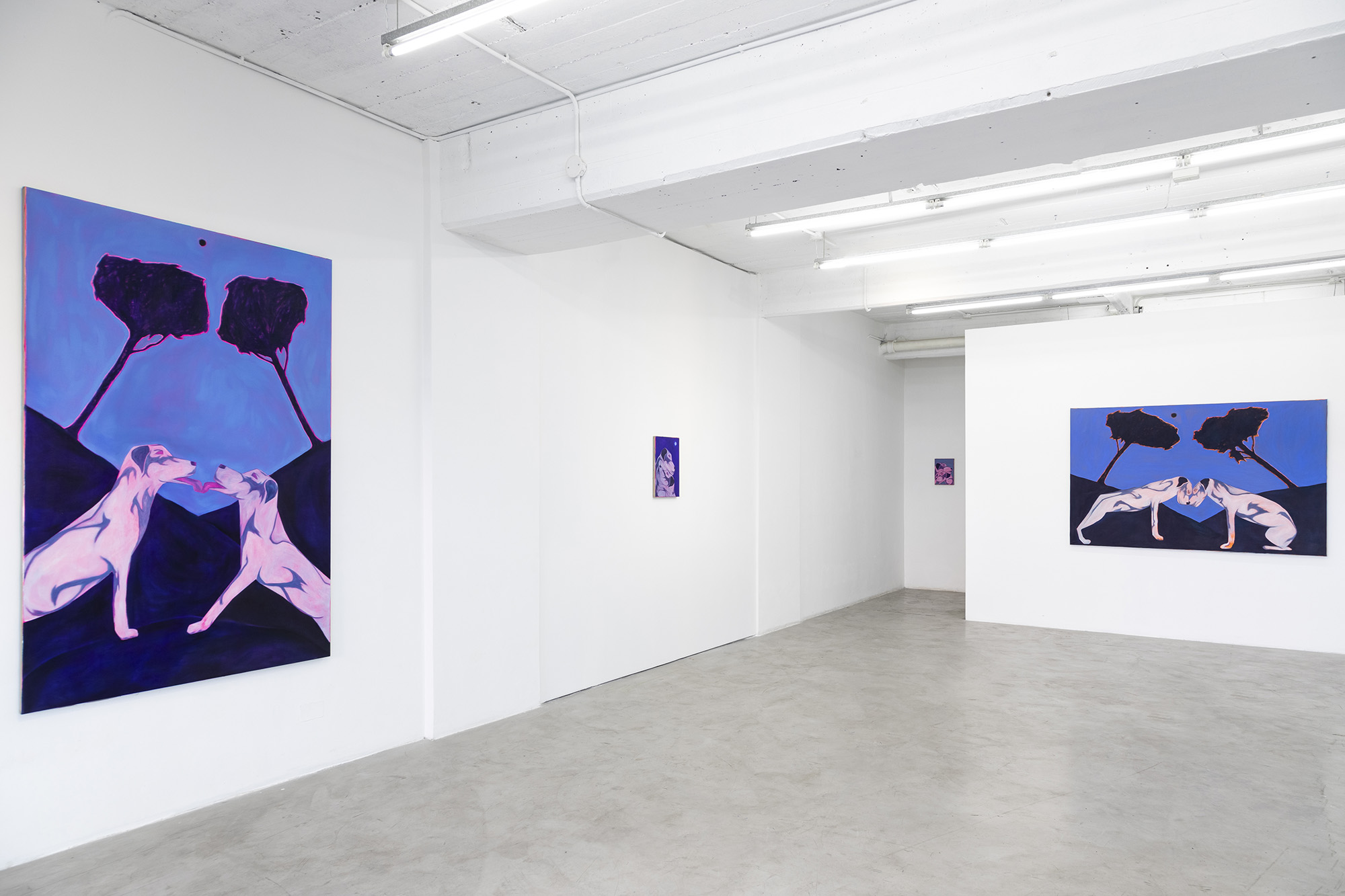 Adam Bilardi, At night, I dream with my eyes open, 2022, Revolver Galeria, Buenos Aires