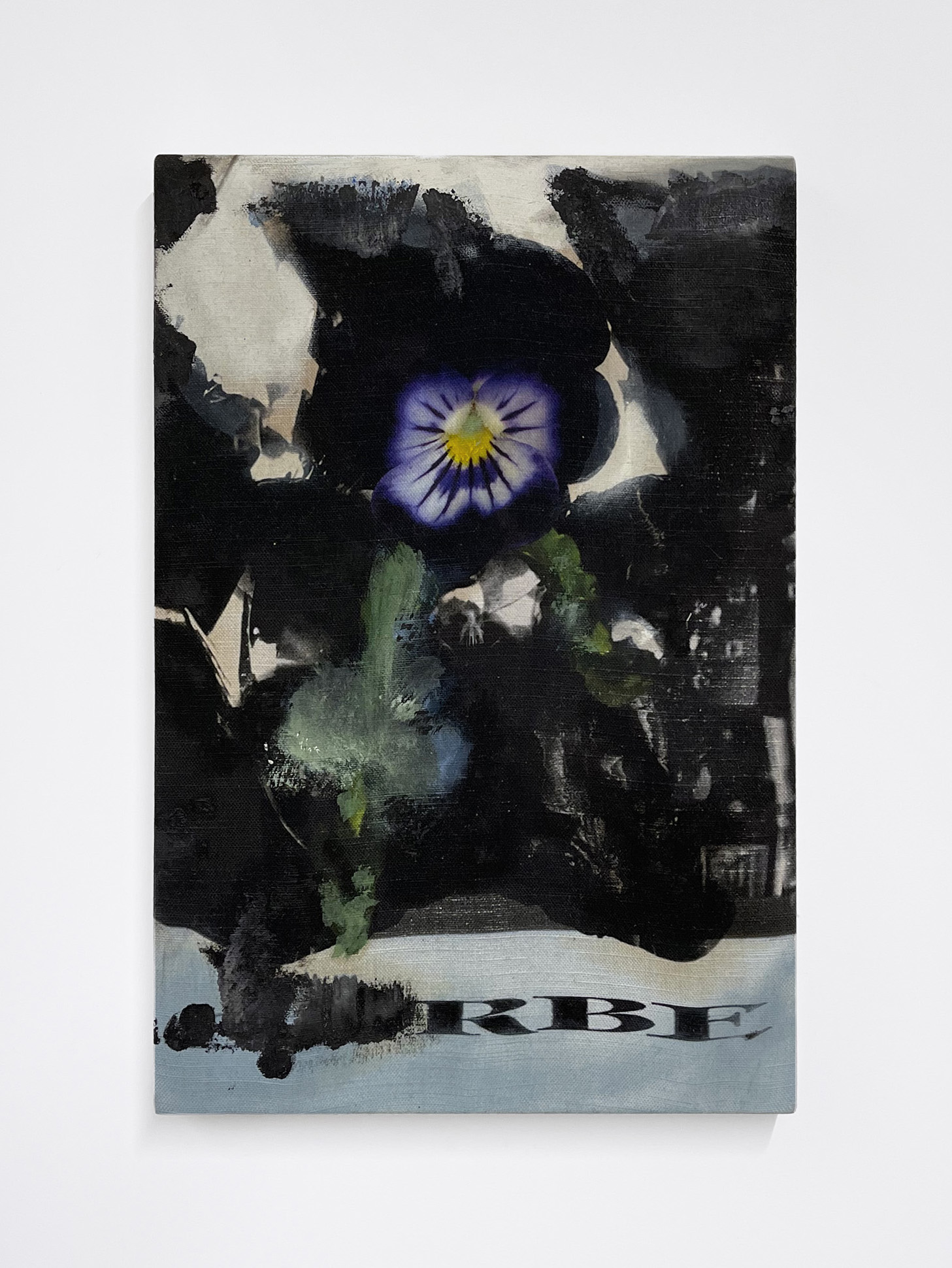 Gaspar Willmann, JUMAP (gerbe 2), 2023